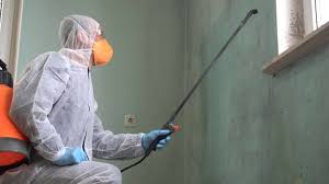 Why You Should Choose Our Mold Remediation Services in Pipestone, MN