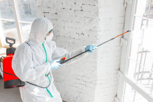 Asbestos and Lead Testing During Mold Inspection in Pipestone, MN